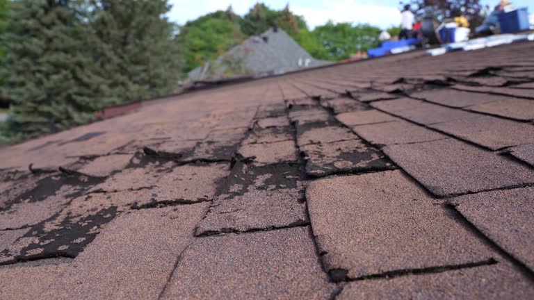 Best Roof Coating and Sealing  in Imperial, CA